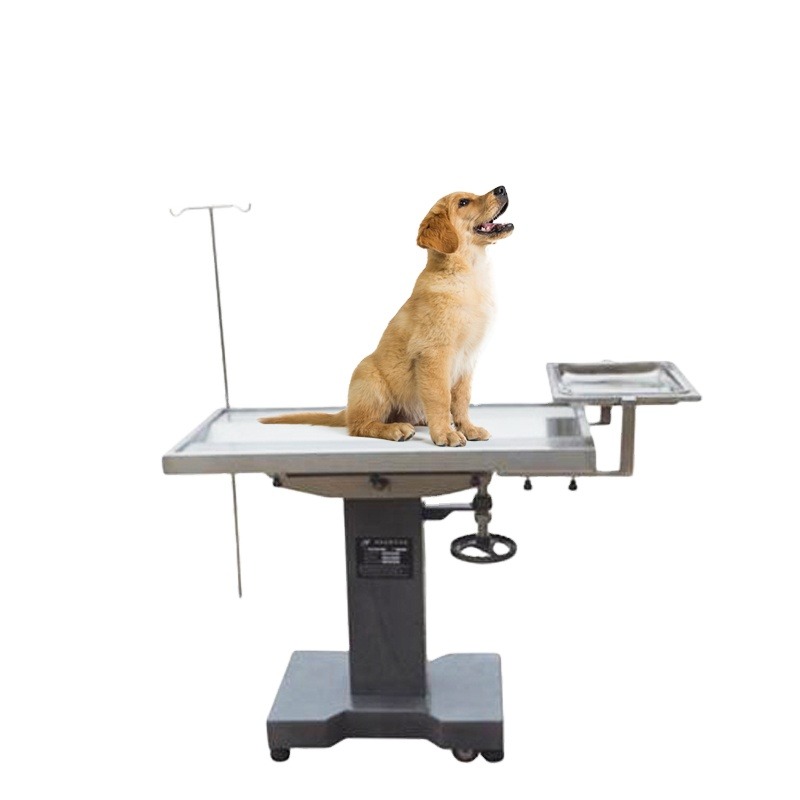 Pet Supplies Vet - Huisdieren Medische operatietafel/veterinaire chirurgietafel, dierenarts chirurgisch