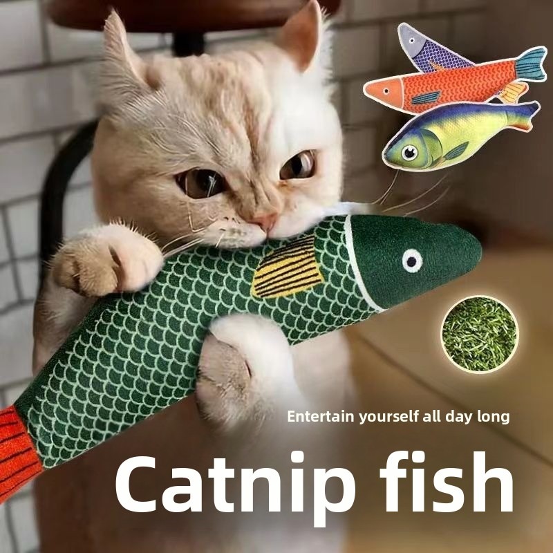 Catnip Toys - Nieuw kattenspeeltje Kattenkruidvis Molaire bijtbestendige kattenspeeltjes