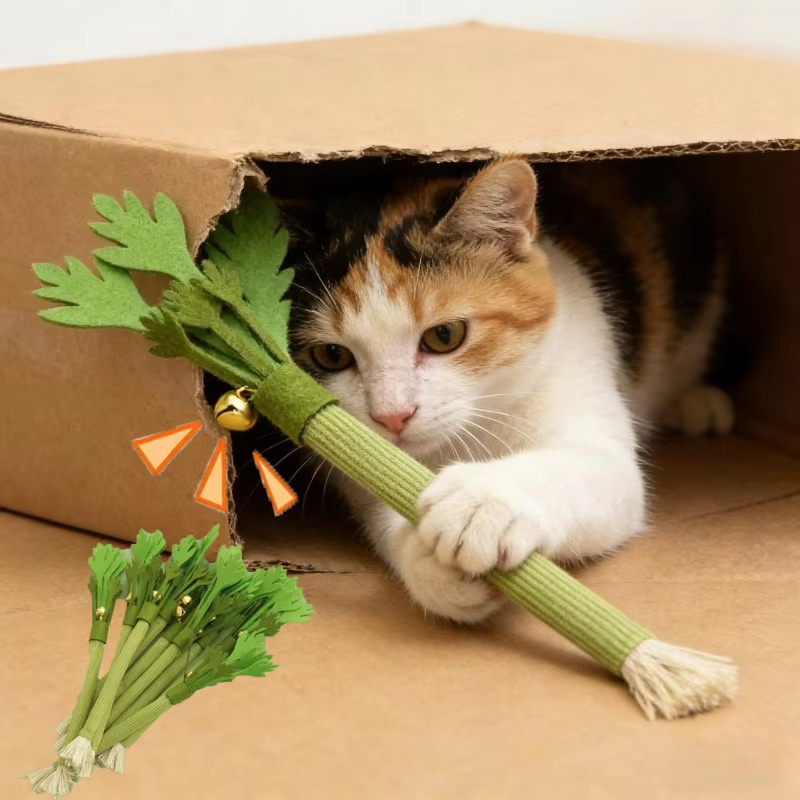 Catnip Toys - Kattenkauwspeelgoed Kattenkruid Kattentandenreinigingsspeelgoed Interactief zelfspelend Kattenkruid