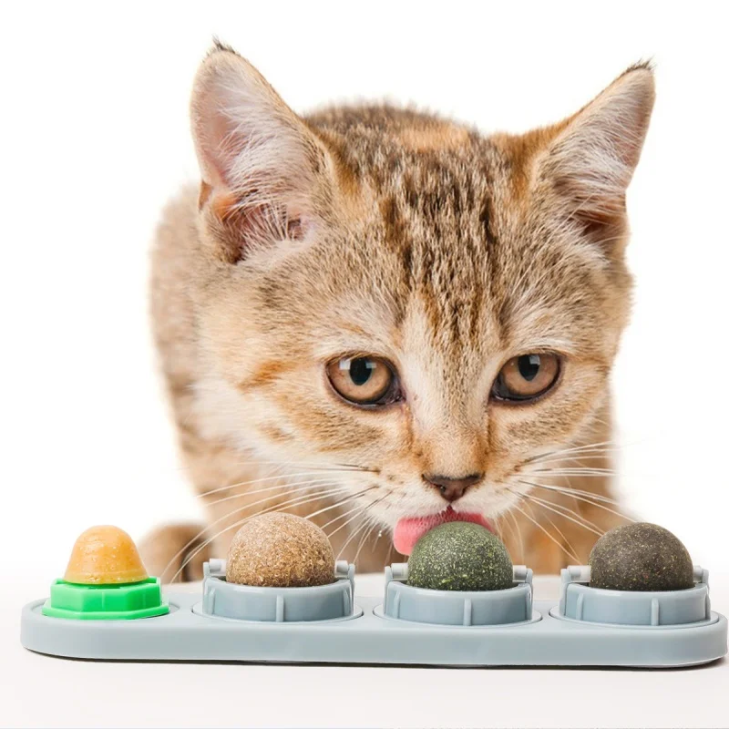 4-in-1 Kattenkruid Speelgoed G - Catnip Toys recensie en prijs