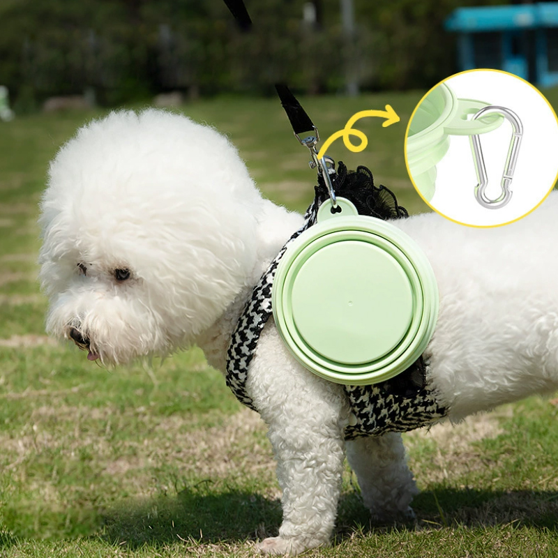 Kleur Dierbenodigdheden Draagb - Pet Supplies Is Food recensie en prijs