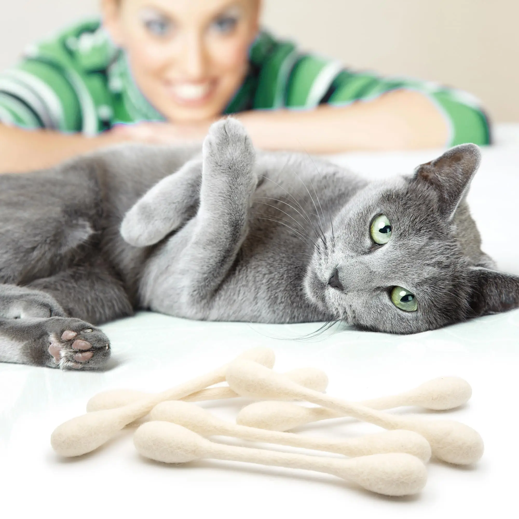 Creatief speelgoed voor katten - Catnip Toys recensie en prijs