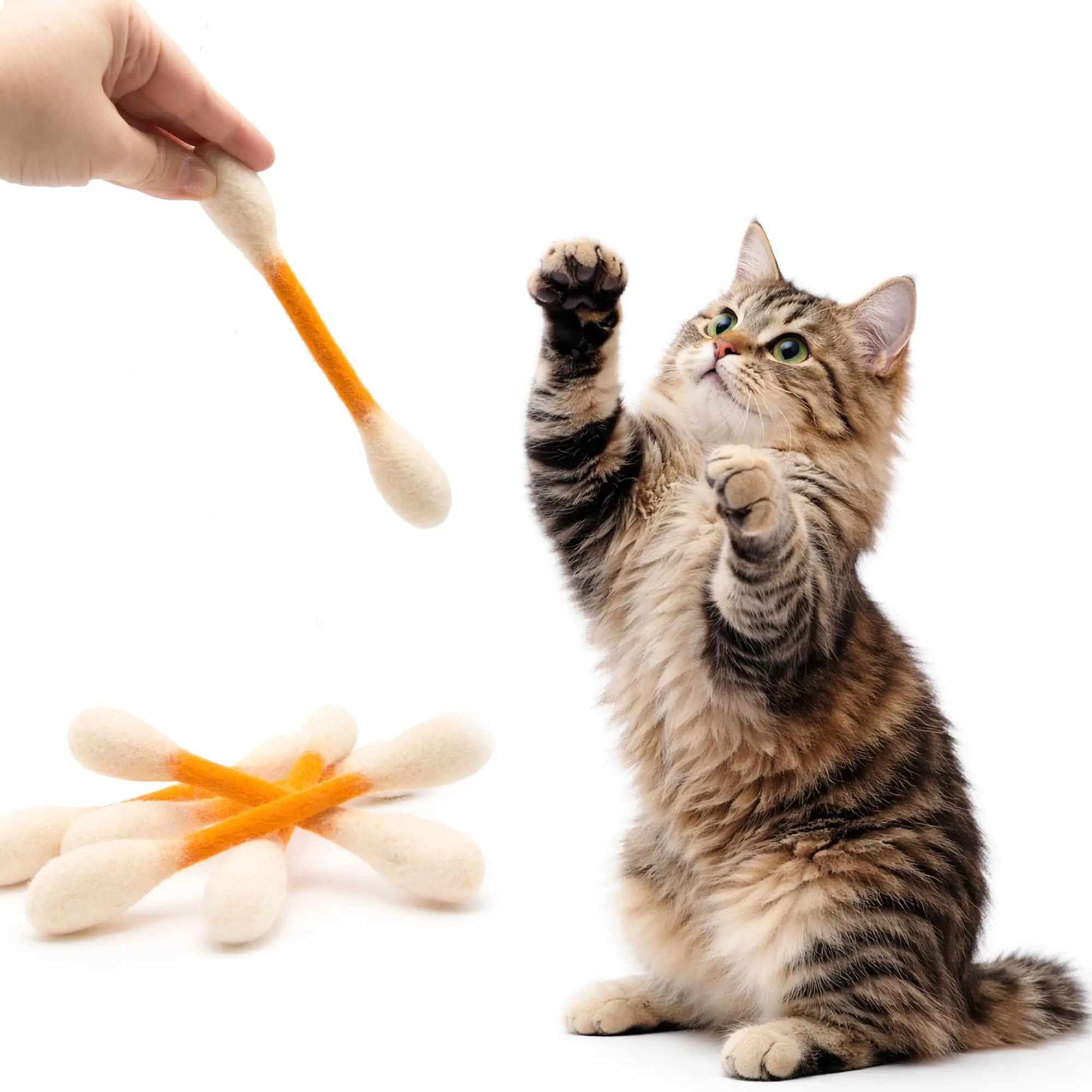 Creatief speelgoed voor katten - Catnip Toys recensie en prijs