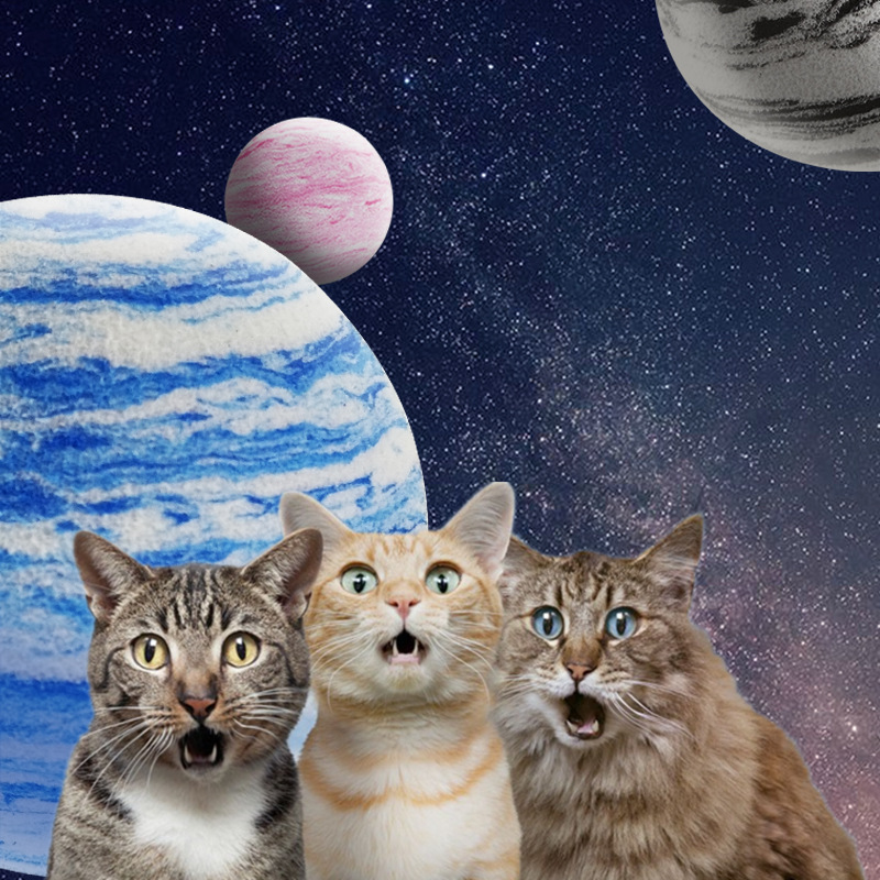 Kattenspeelgoedbal EVA Planeet - Catnip Toys recensie en prijs