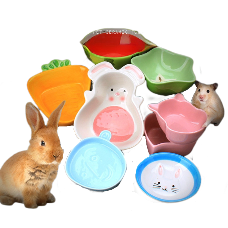 1PC Hamster Voerbak Kleurrijke - Pet Supplies Is Food recensie en prijs