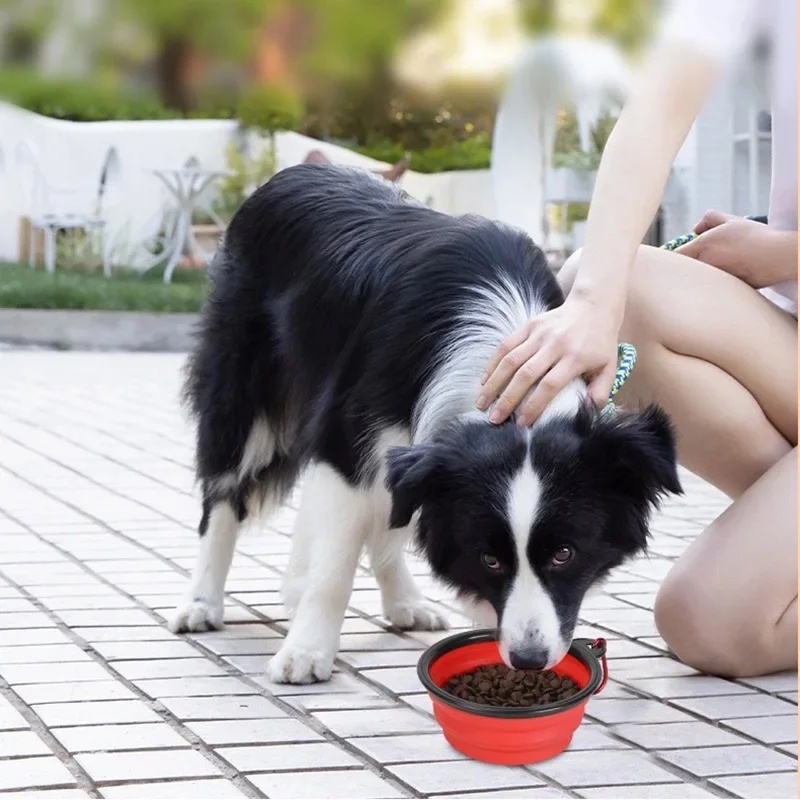 1/2 STUKS Opvouwbare Hondenvoe - Pet Supplies Is Food recensie en prijs