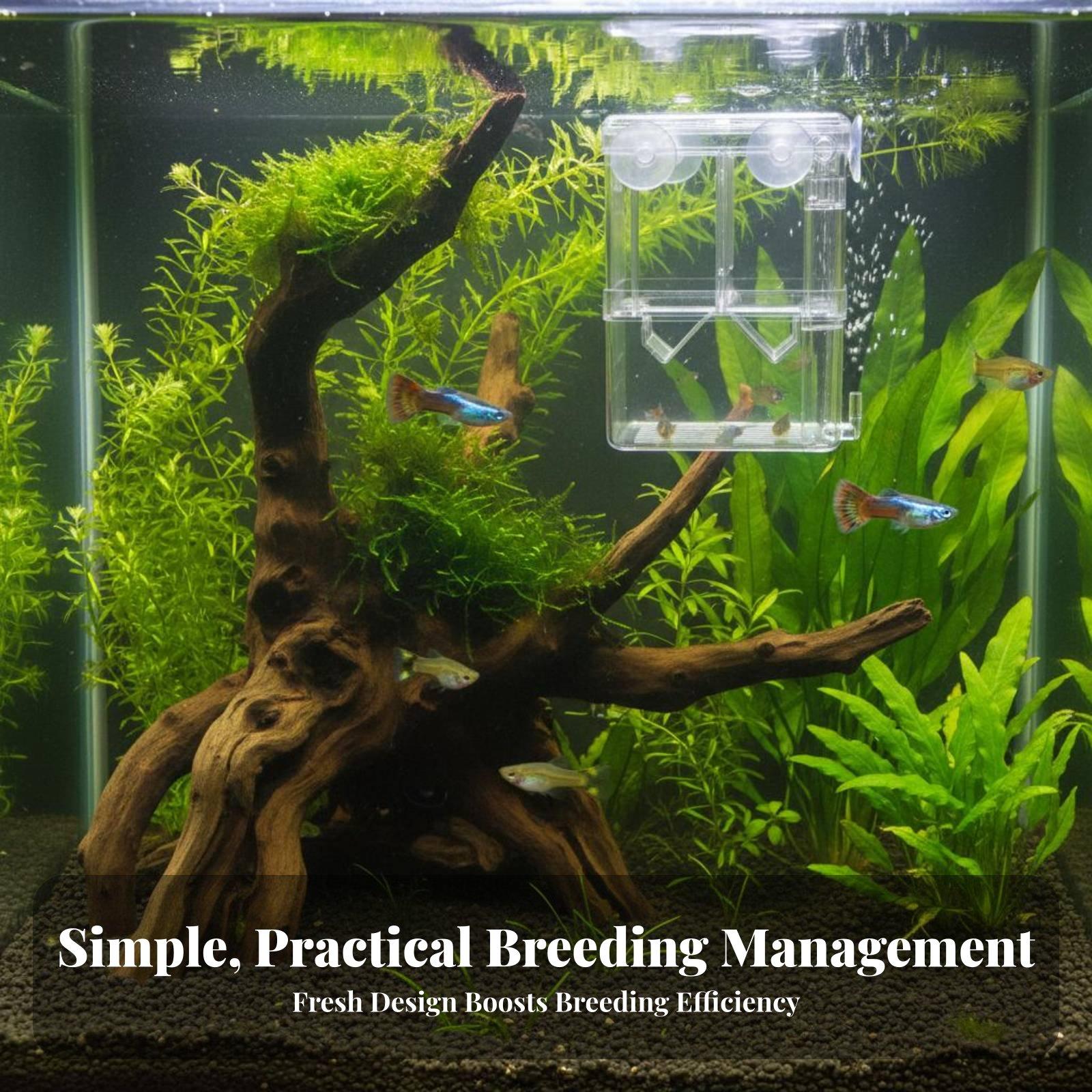 Dubbellaagse aquariumkweektank - Aquarium Fish Tank recensie en prijs