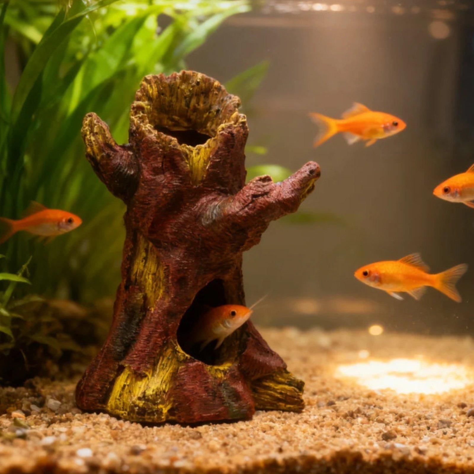 Aquariumdecoratie, decoratieve - Aquarium Fish Tank recensie en prijs