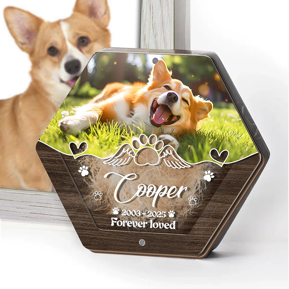 Gepersonaliseerde Naam Houten  - Pet Supplies Stores recensie en prijs