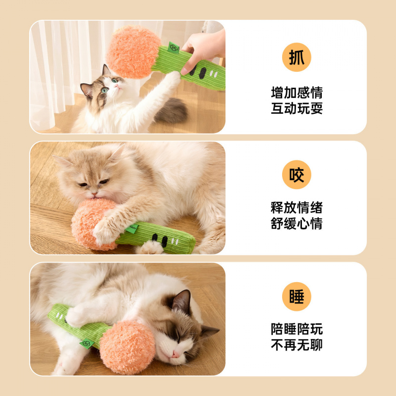 Nieuw katten speeltje: grappig - Catnip Toys recensie en prijs