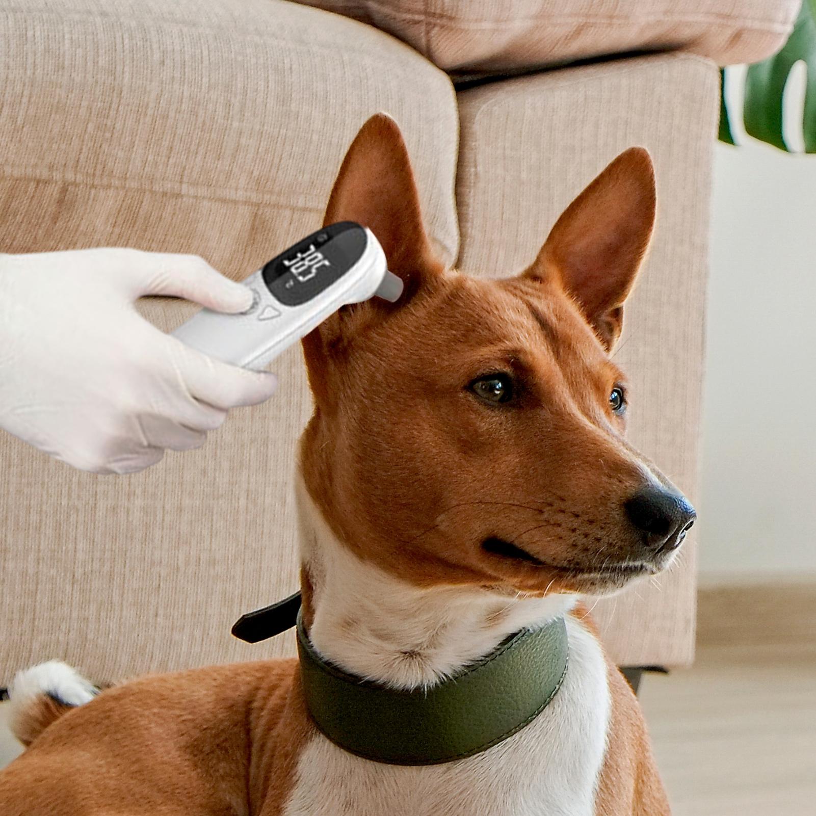 Hond Kat Oorthermometer Medisc - Pet Supplies Vet recensie en prijs