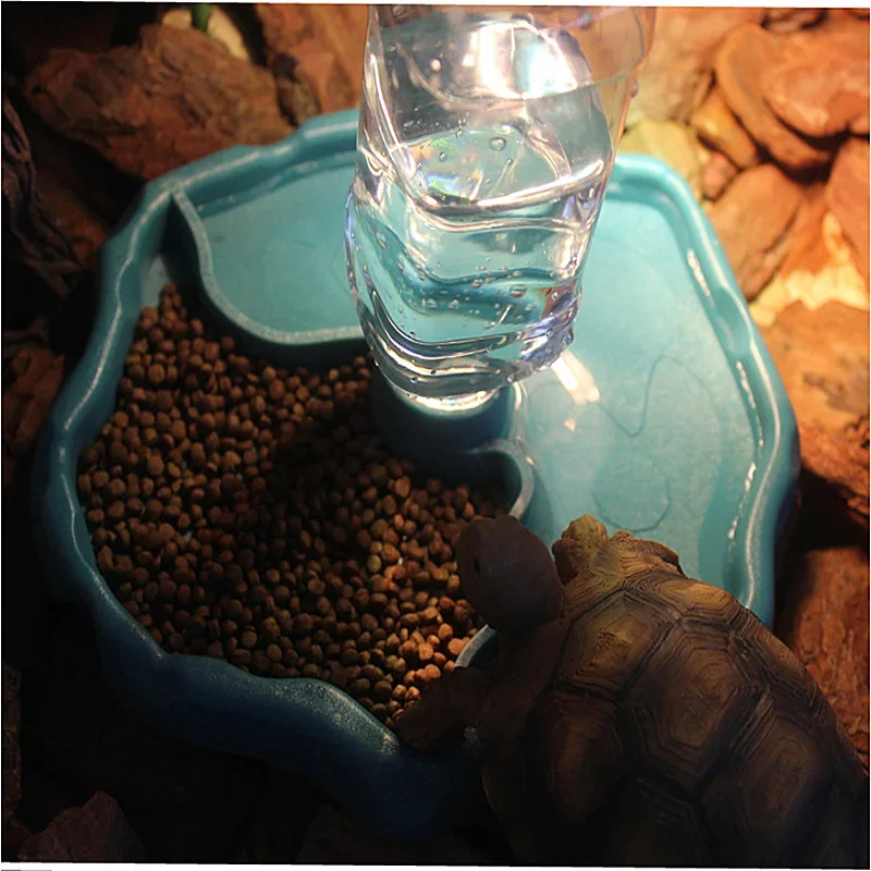 Huisdier Reptiel Voederbak 2 i - Pet Supplies Is Food recensie en prijs