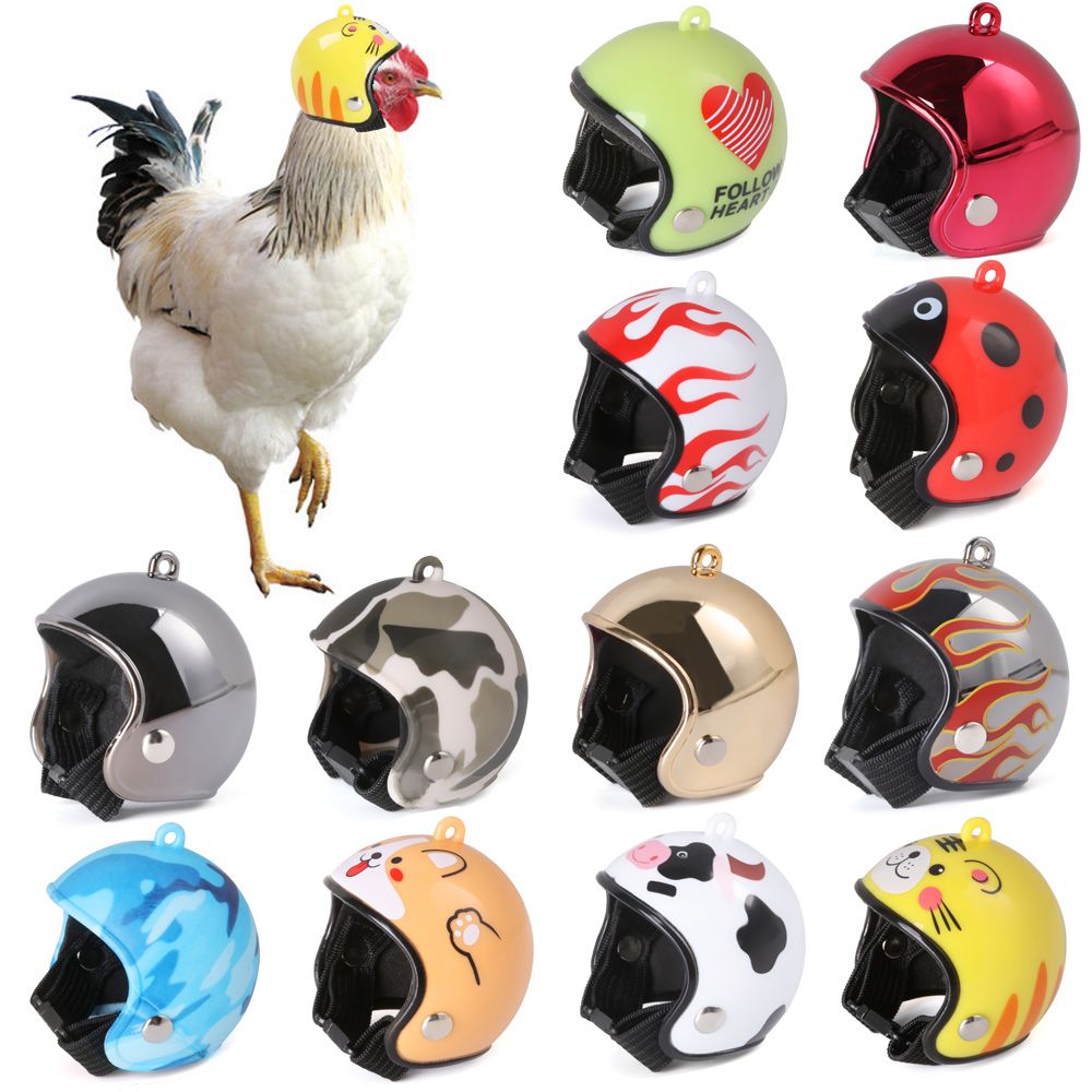 ABS Huisdierenbenodigdheden Gr - Pet X Supplies & Tack Howell Mi recensie en prijs
