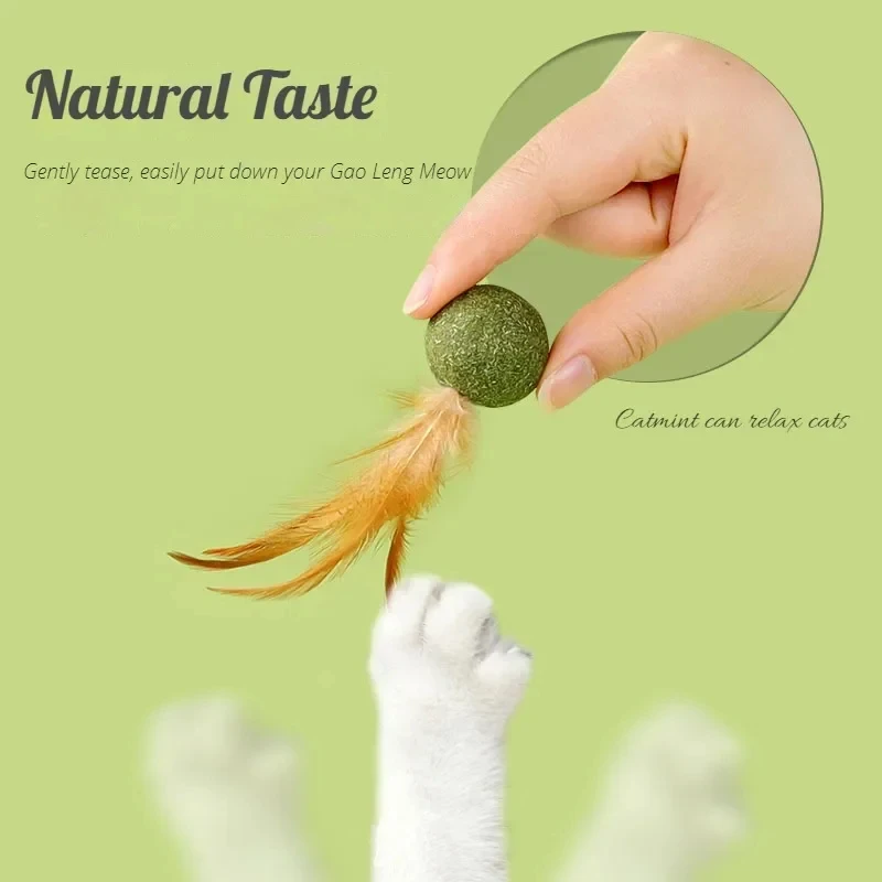 Huisdier Kattenkruid Speelgoed - Catnip Toys recensie en prijs