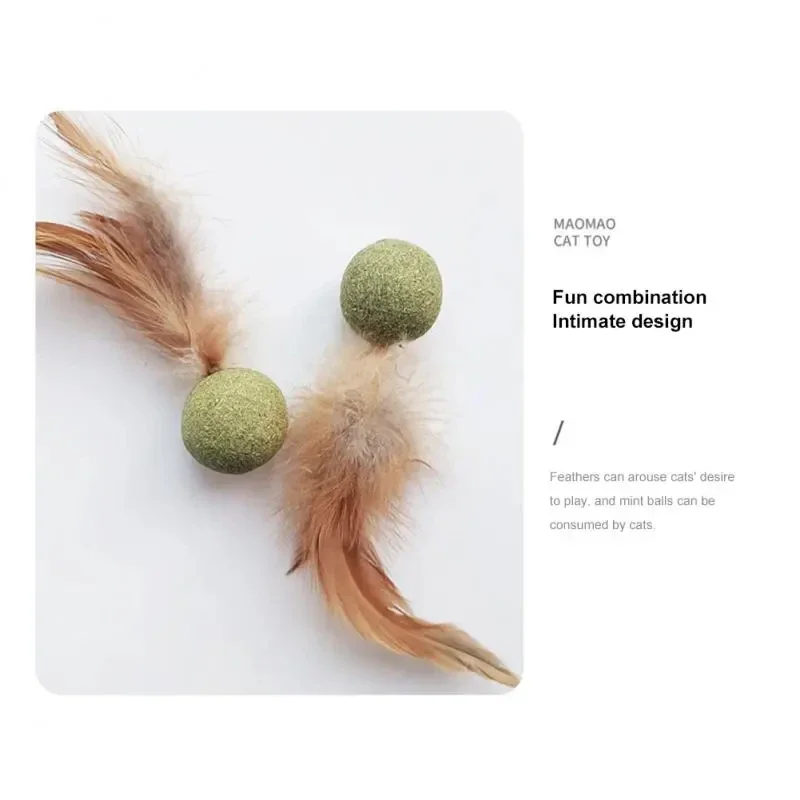 Huisdier Kattenkruid Speelgoed - Catnip Toys recensie en prijs