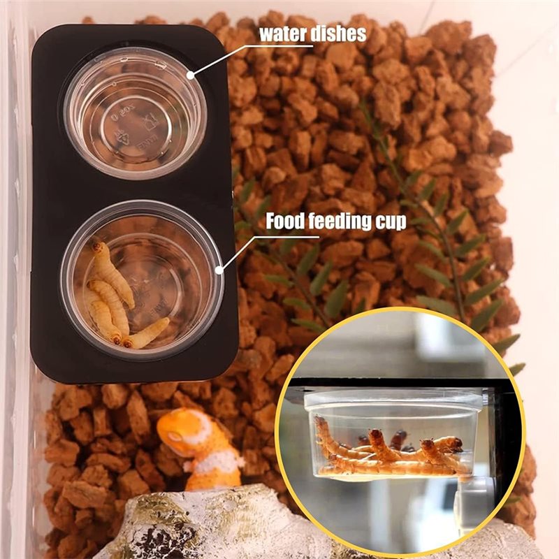 Voer- en waterbakjes voor gekk - Pet Supplies Is Food recensie en prijs