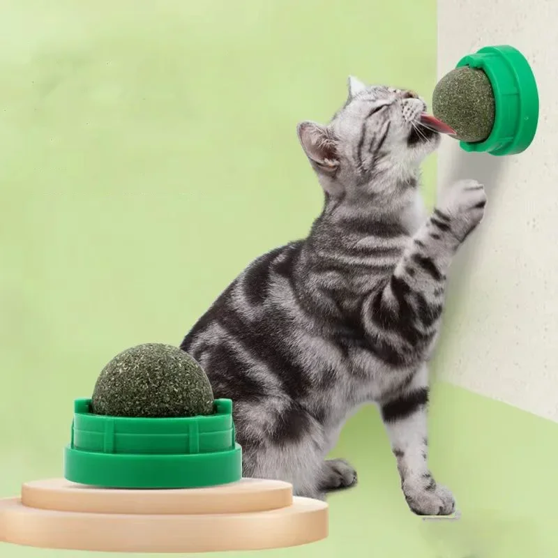Kattenkruid Kattenmuur Kleefba - Catnip Toys recensie en prijs