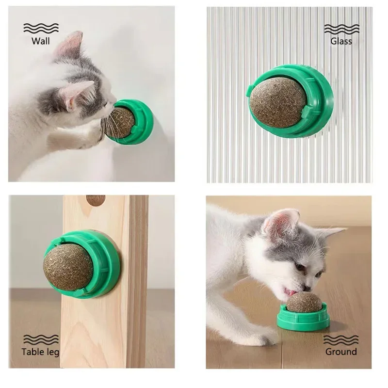 Kattenkruid Kattenmuur Kleefba - Catnip Toys recensie en prijs