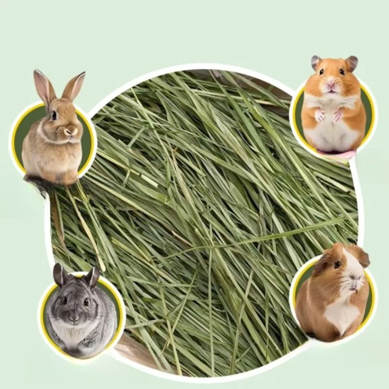 Vezelrijk gedroogd timotheegra - Pet Supplies Is Food recensie en prijs