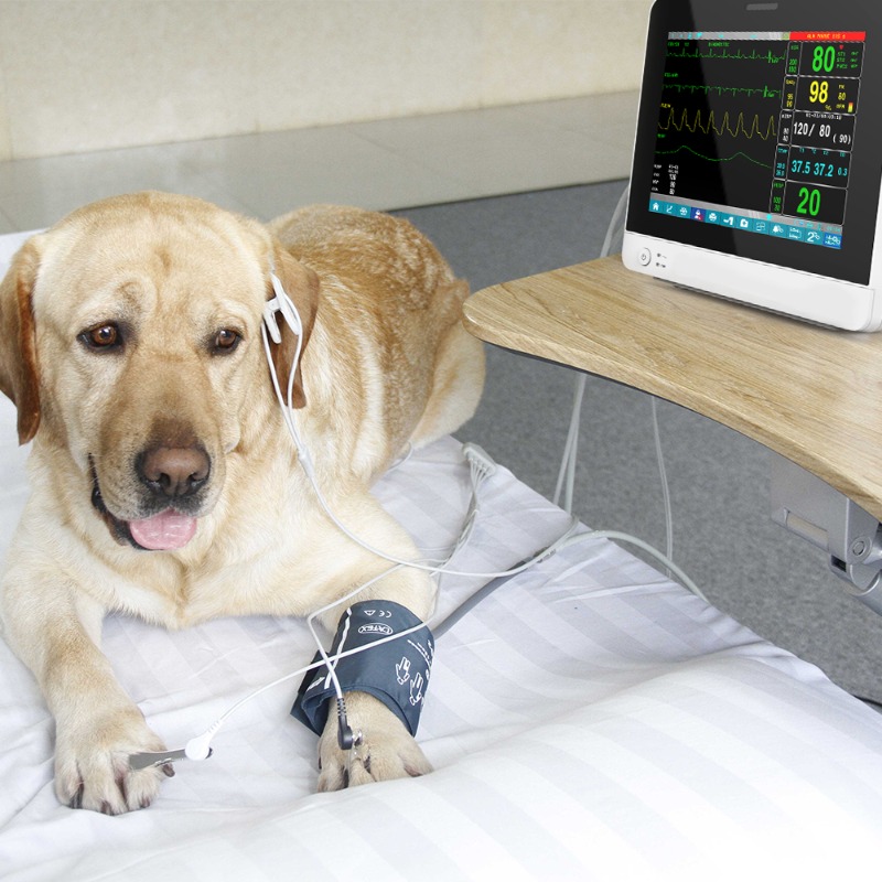 Veterinaire huisdier touchscre - Pet Supplies Vet recensie en prijs