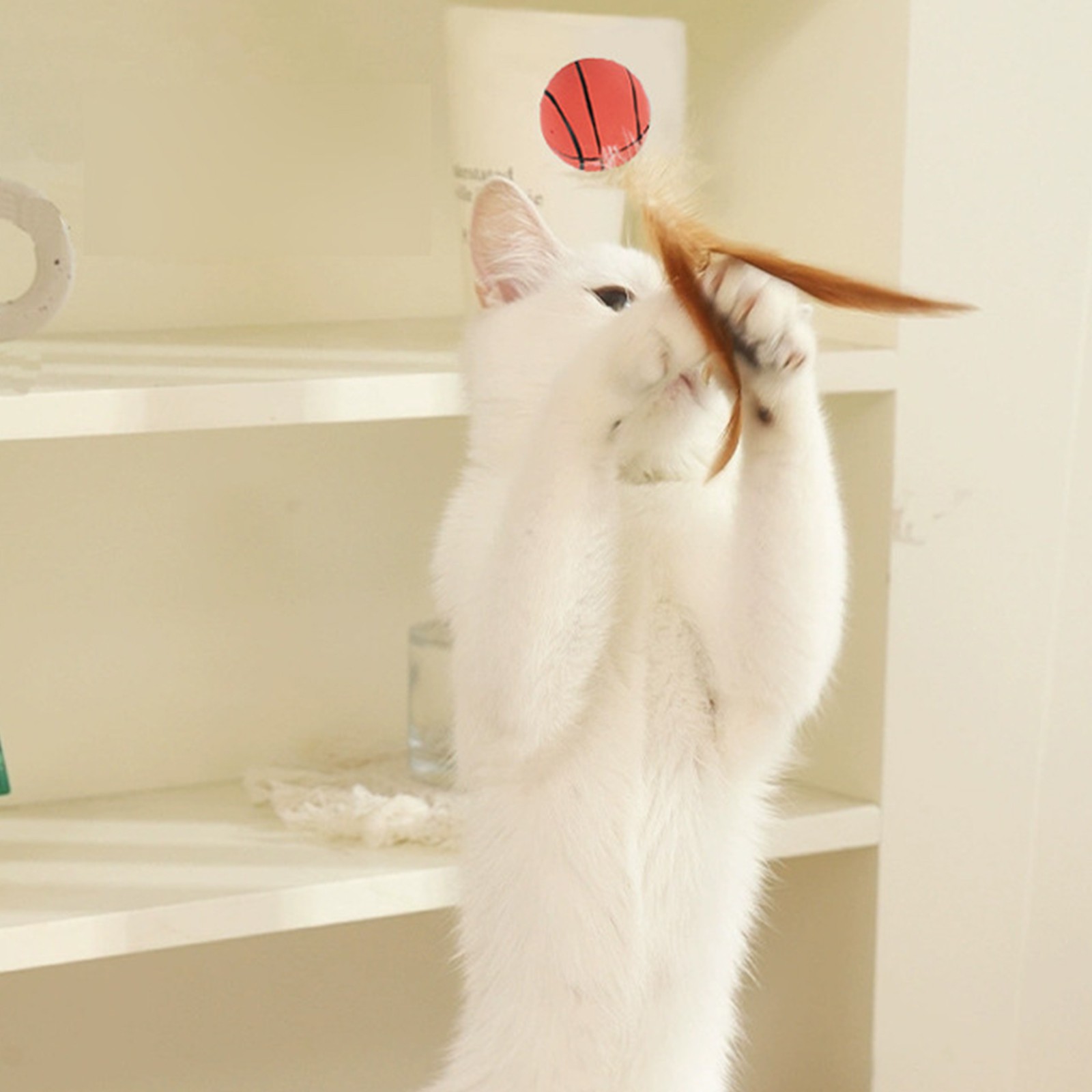 Kattenveerbalspeelgoed Interac - Catnip Toys recensie en prijs