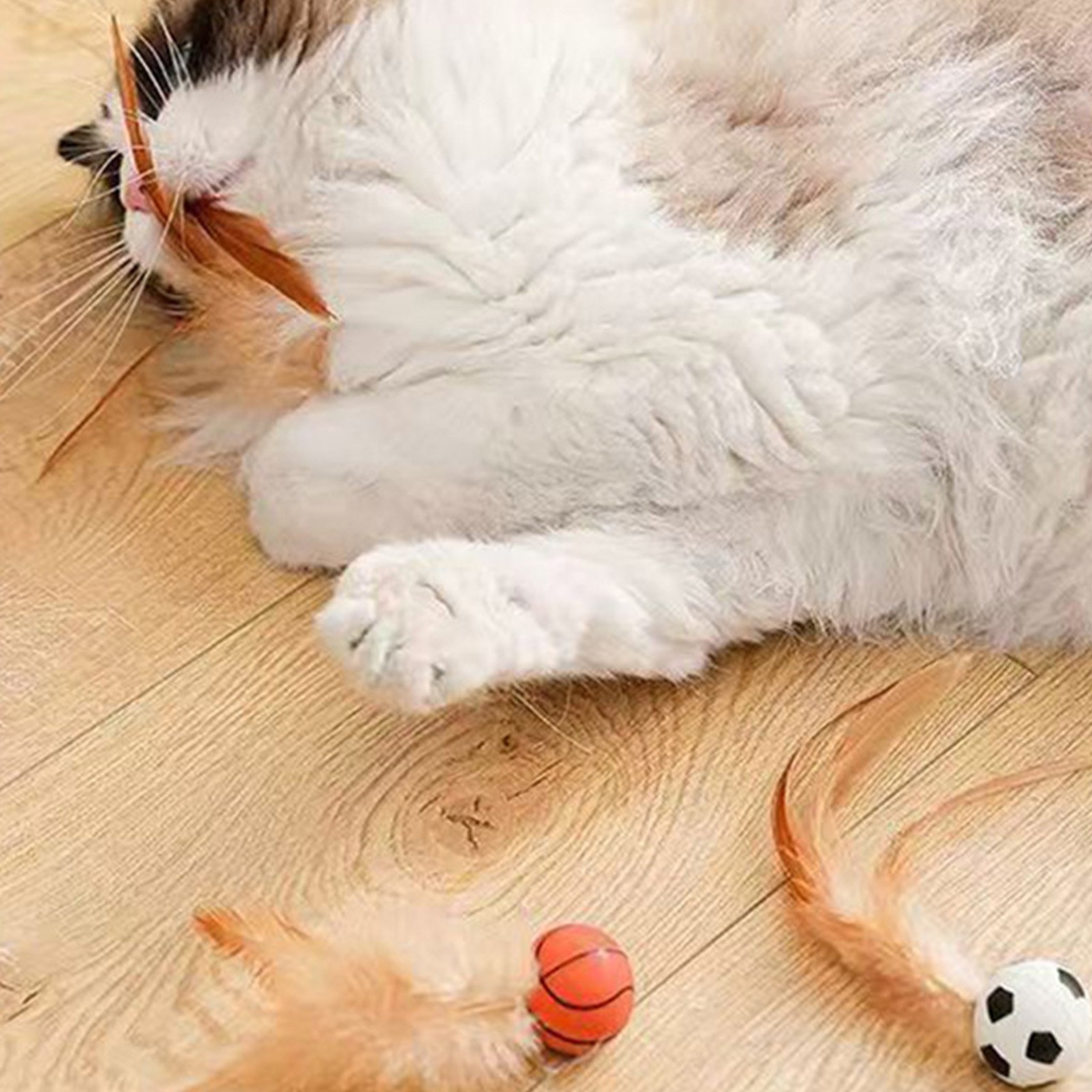 Kattenveerbalspeelgoed Interac - Catnip Toys recensie en prijs